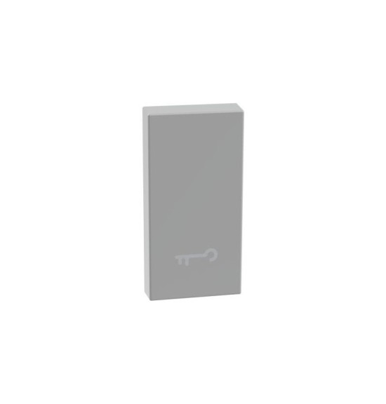 Copritasto con simbolo chiave per comandi assiali MatixGo Bticino JG4916F silver
